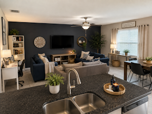 Living Room 1