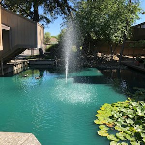 Beautiful waterways meander through the property with a deck to the water way it is a serene and peaceful setting.