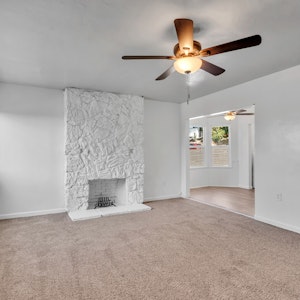 Living room/fireplace