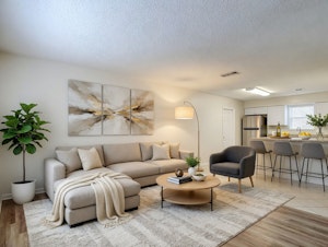 //hemlane-production.s3.amazonaws.com/uploads/property_listing_photos/802eba8d-872e-454c-8ea4-dd650d8a38a5/Living room VS.jpg