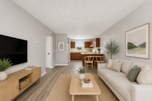 //hemlane-production.s3.amazonaws.com/uploads/property_listing_photos/a6457392-c9d5-417e-a462-d36ded3f9cf2/vs living room.png
