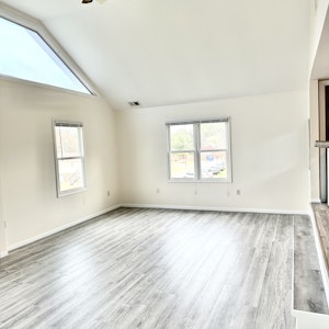 Cathedral-ceilings living room