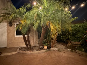 //hemlane-production.s3.amazonaws.com/uploads/property_listing_photos/ab9e7124-76d6-464c-a87c-37fa4a855c8a/Coralwood Exterior IMG_4299.jpeg