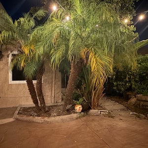 //hemlane-production.s3.amazonaws.com/uploads/property_listing_photos/ab9e7124-76d6-464c-a87c-37fa4a855c8a/Coralwood Exterior IMG_4299.jpeg