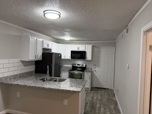 Kitchen with granite countertops, gooseneck faucet, and stainless steel appliances
