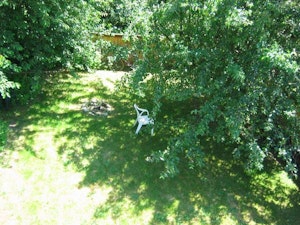 //hemlane-production.s3.amazonaws.com/uploads/property_listing_photos/fa4256b8-fe3f-451c-b94f-93117d10ed80/Backyard.jpg